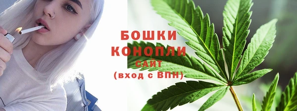 стаф Ельня