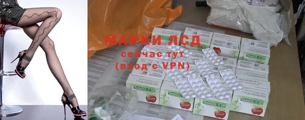 стаф Ельня