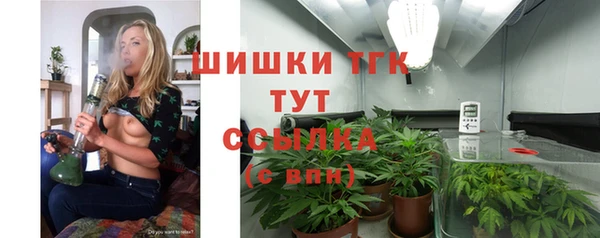 стаф Елизово