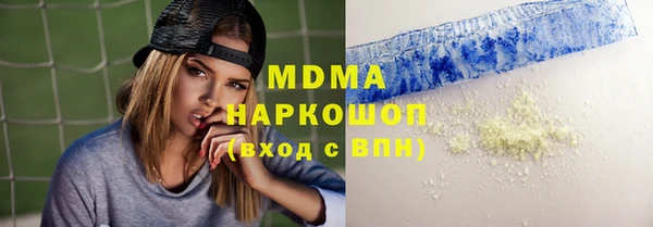 стаф Ельня