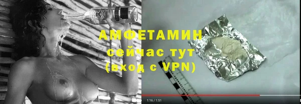 стаф Ельня
