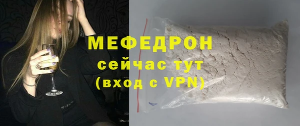 стаф Ельня