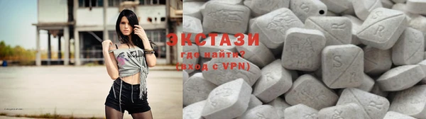 стаф Ельня