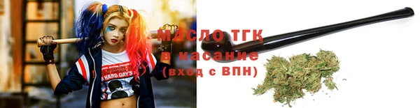 стаф Ельня