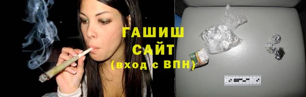 стаф Ельня