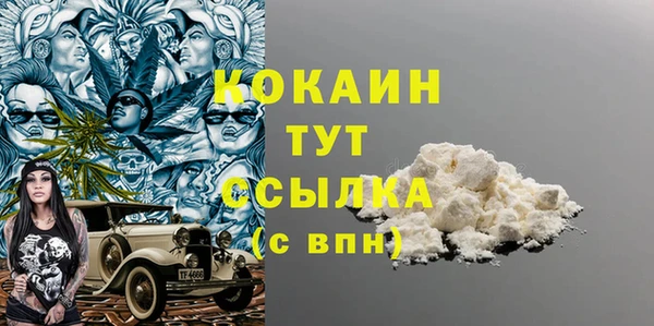 стаф Ельня
