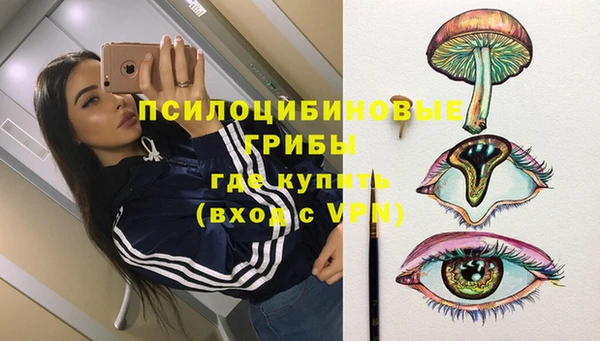 стаф Елизово