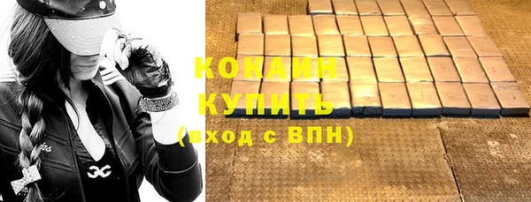 стаф Ельня