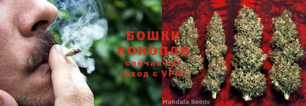 стаф Елизово