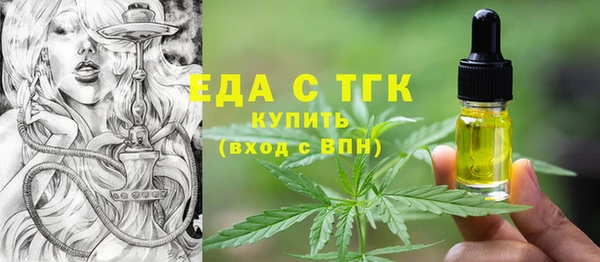 стаф Ельня