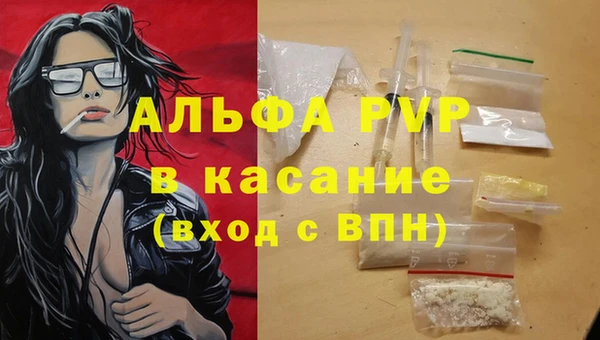 стаф Ельня