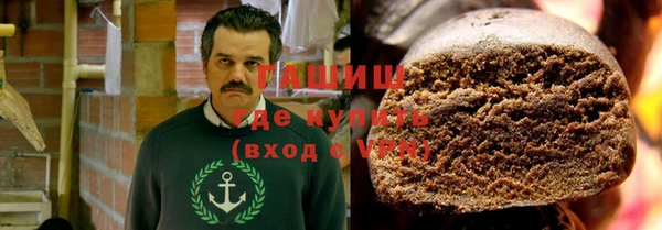 стаф Ельня