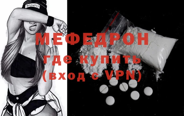 стаф Ельня