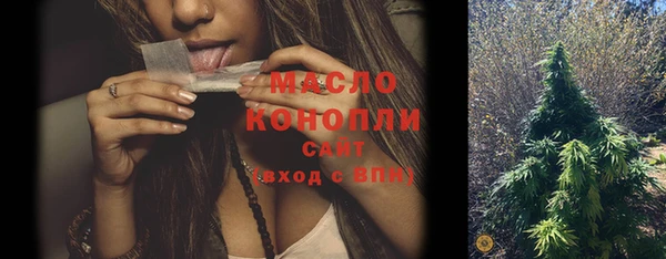 стаф Ельня