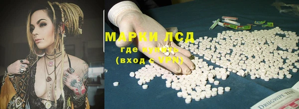 стаф Елизово