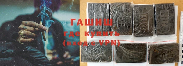 стаф Елизово