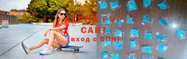 стаф Елизово